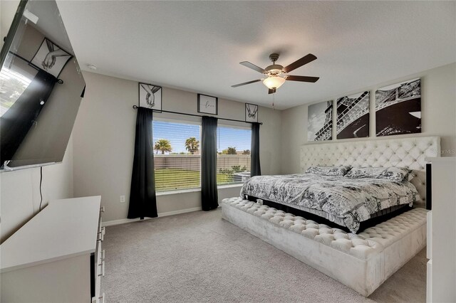 5521 Olano St, Palmetto, FL 34221 - photo 15