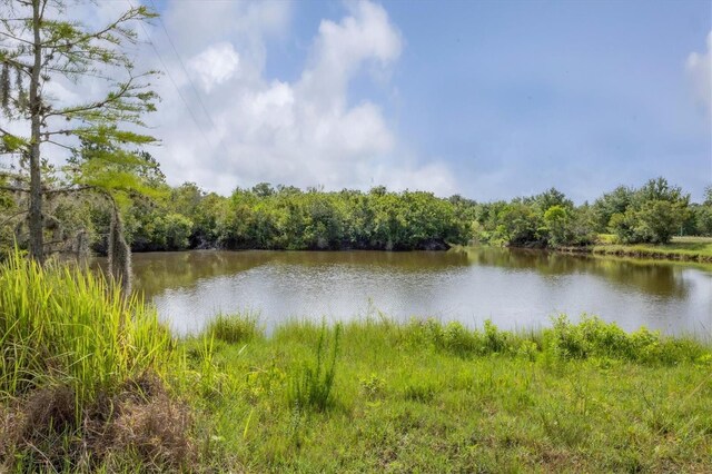 3045 Logue Rd, Myakka City, FL 34251 - photo 17