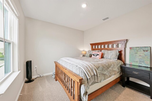 12564 Night View Dr, Sarasota, FL 34238 - bedroom featuring multiple windows and carpet