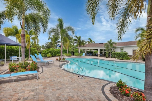 12564 Night View Dr, Sarasota, FL 34238 - community pool featuring a patio area