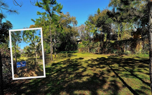 1921 Monte Carlo Dr Unit 302, Sarasota, FL 34231 - view of yard