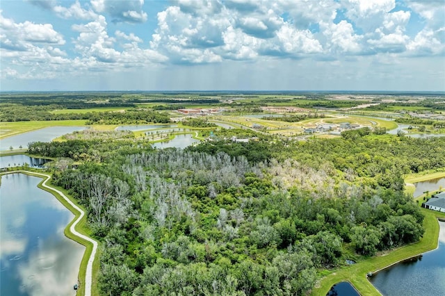 11685 Great Brook Ln, Parrish, FL 34219 - drone / aerial view of a nearby body of water