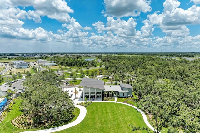 11685 Great Brook Ln, Parrish, FL 34219 - bird's eye view