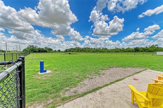 11685 Great Brook Ln, Parrish, FL 34219 - view of yard