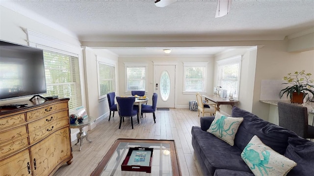 152 Coolidge Dr, Sarasota, FL 34236 - living area featuring light wood-style floors, healthy amount of natural light, and a textured ceiling