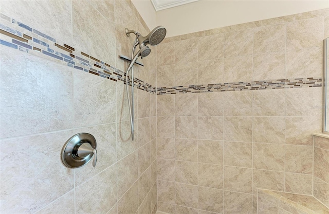 138 Toscavilla Blvd, Nokomis, FL 34275 - detailed view of tiled shower