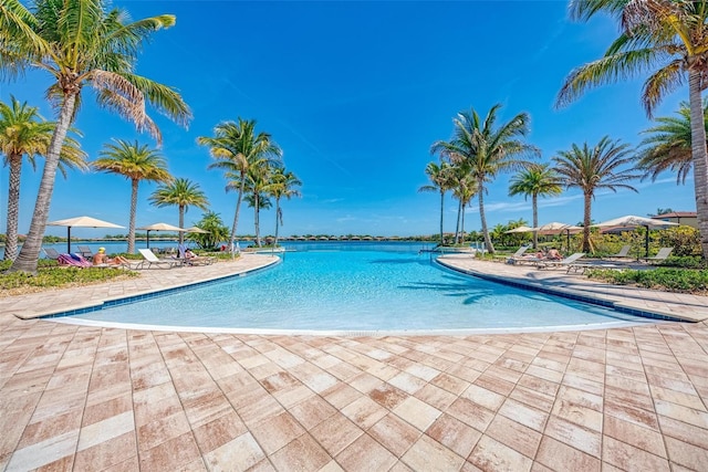 138 Toscavilla Blvd, Nokomis, FL 34275 - community pool with a patio area