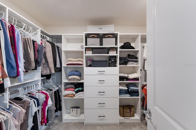 8985 Royal River Cir, Parrish, FL 34219 - spacious closet featuring carpet