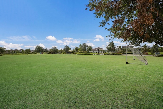 8985 Royal River Cir, Parrish, FL 34219 - view of yard featuring an area for sports