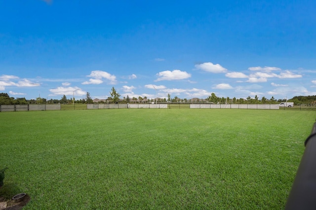 8985 Royal River Cir, Parrish, FL 34219 - view of yard