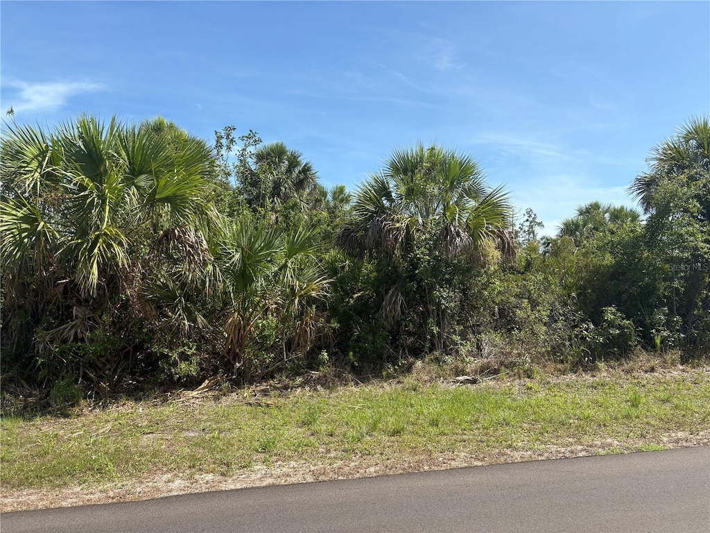 12023 Grouse Ave, Port Charlotte, FL 33981