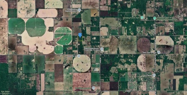 16790 169th Place, Mc Alpin, FL 32062
