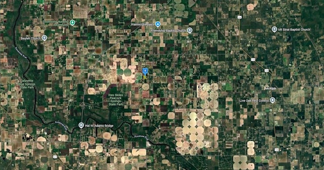 16790 169th Place, Mc Alpin, FL 32062