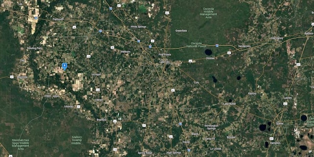 16790 169th Place, Mc Alpin, FL 32062