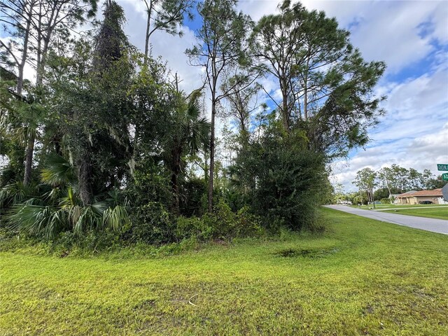 LOT17 Donatello Ave, North Port, FL 34286 - photo 2