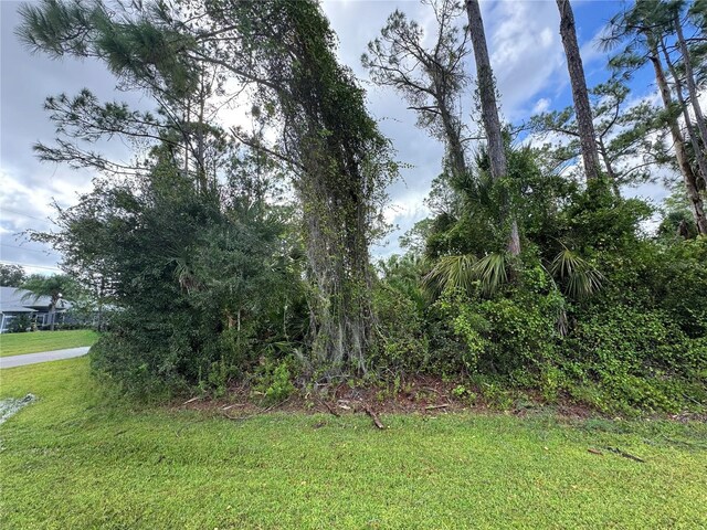 LOT17 Donatello Ave, North Port, FL 34286 - photo 3