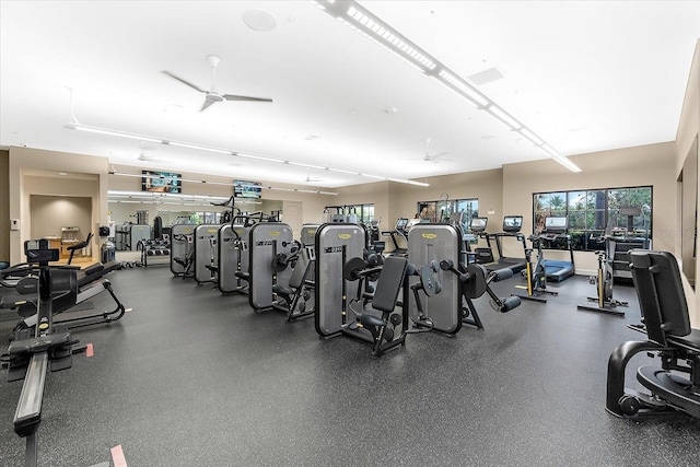 5121 Serata Dr, Lakewood Ranch, FL 34211 - photo 53