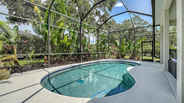 7717 US Open Loop, Lakewood Ranch, FL 34202 - outdoor pool featuring a patio area and a lanai
