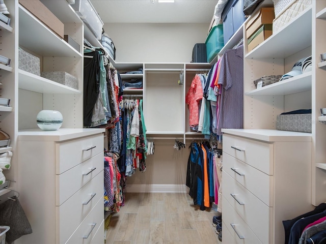 7840 34th Ave W Unit 303, Bradenton, FL 34209 - spacious closet featuring light wood-style floors