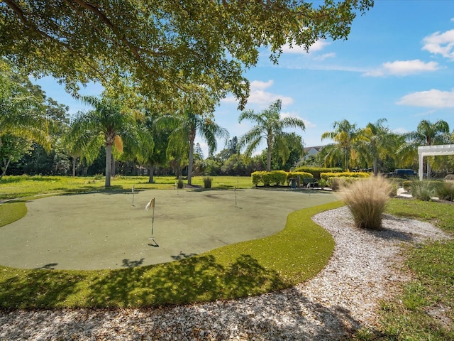 7840 34th Ave W Unit 303, Bradenton, FL 34209 - surrounding community featuring a putting area