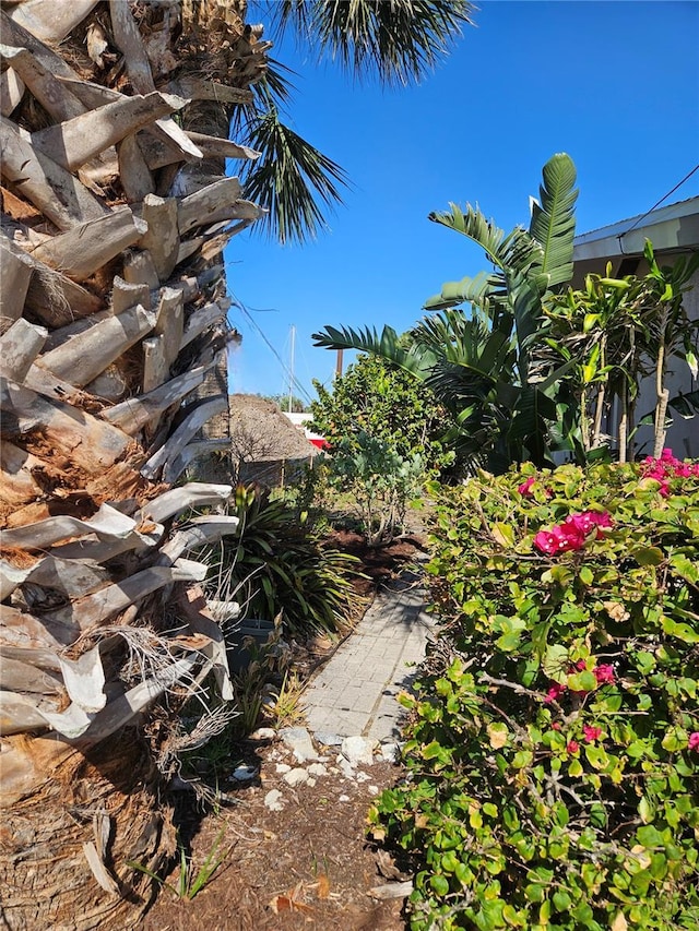 134 Gulfview Rd, Punta Gorda, FL 33950 - view of yard