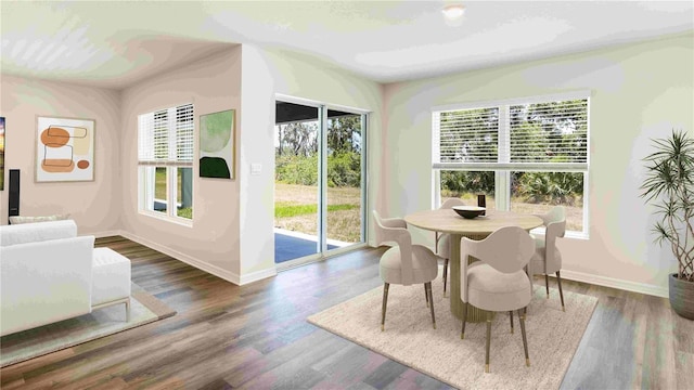 12071 Mountain Island Trl, Parrish, FL 34219 - dining room featuring baseboards and wood finished floors