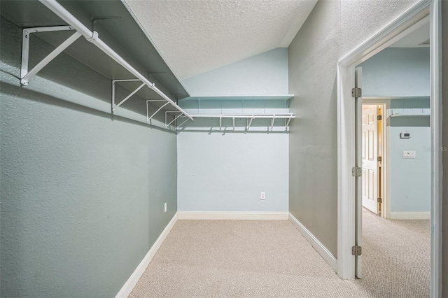 3041 Stonegate Falls Dr, Land O Lakes, FL 34638 - walk in closet featuring carpet and lofted ceiling