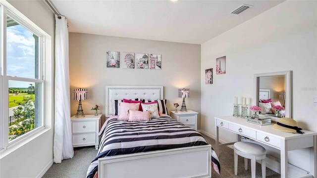 18317 Canopy Pl, Lakewood Ranch, FL 34211 - bedroom featuring carpet and multiple windows