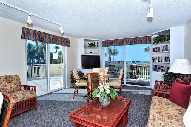 4325 Gulf Of Mexico Dr Unit 204, Longboat Key, FL 34228 - living room featuring rail lighting, carpet floors, plenty of natural light, a textured ceiling, and built in features