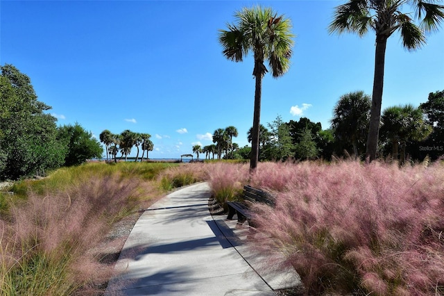 4325 Gulf Of Mexico Dr Unit 204, Longboat Key, FL 34228 - view of street