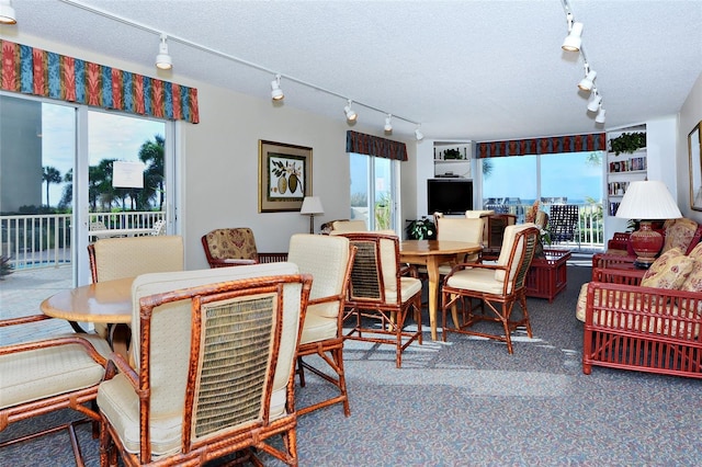 4325 Gulf Of Mexico Dr Unit 204, Longboat Key, FL 34228 - dining area featuring track lighting and carpet floors
