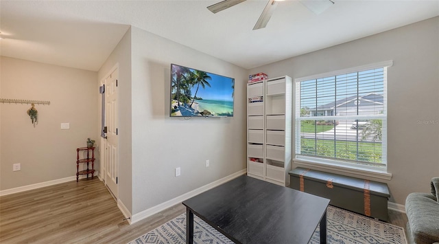 6435 165th Dr E, Parrish, FL 34219 - unfurnished room with healthy amount of natural light, light wood finished floors, and a ceiling fan