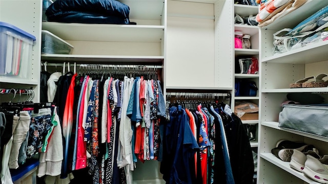 3305 Notre Dame Pl Unit 3305, Bradenton, FL 34207 - view of spacious closet