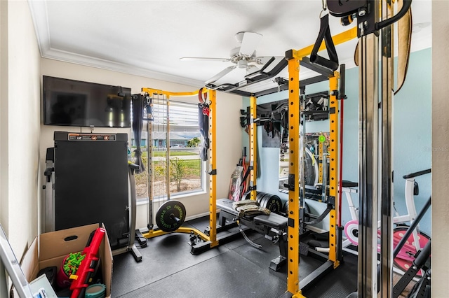 6178 Coliseum Blvd, Port Charlotte, FL 33981 - workout room featuring ceiling fan and ornamental molding