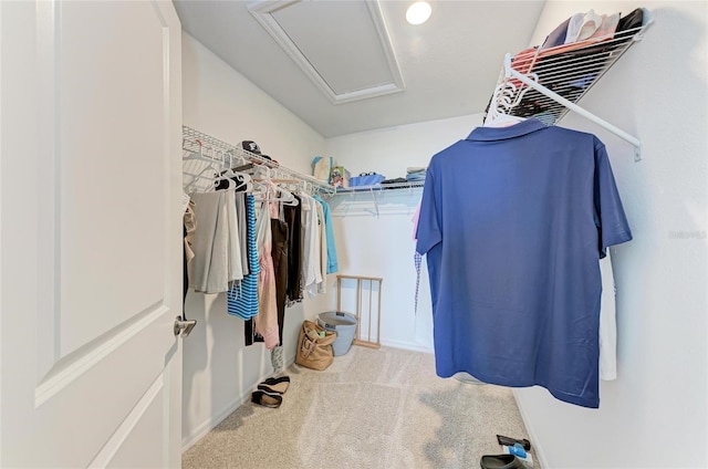 5711 Archipelago St, Nokomis, FL 34275 - spacious closet featuring carpet floors and attic access