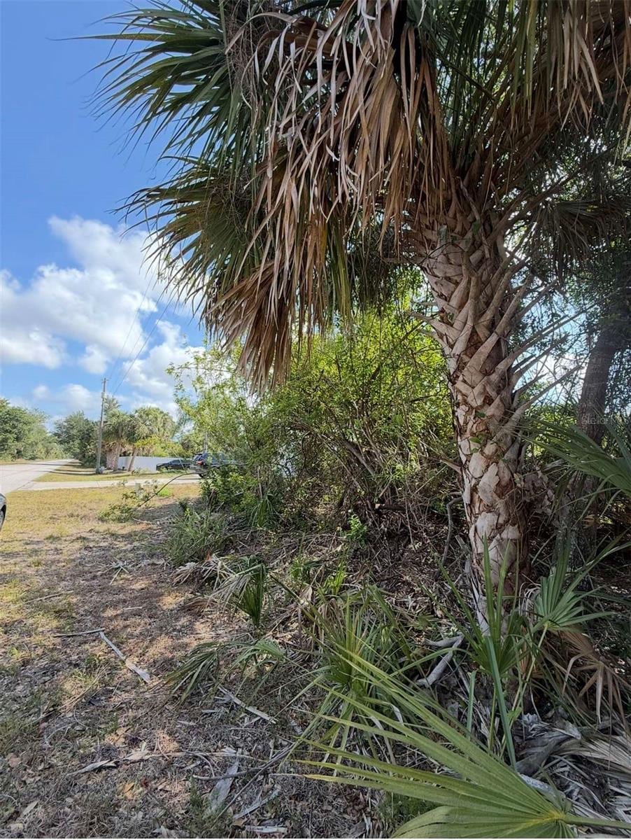 404 Barger Dr, Port Charlotte, FL 33954