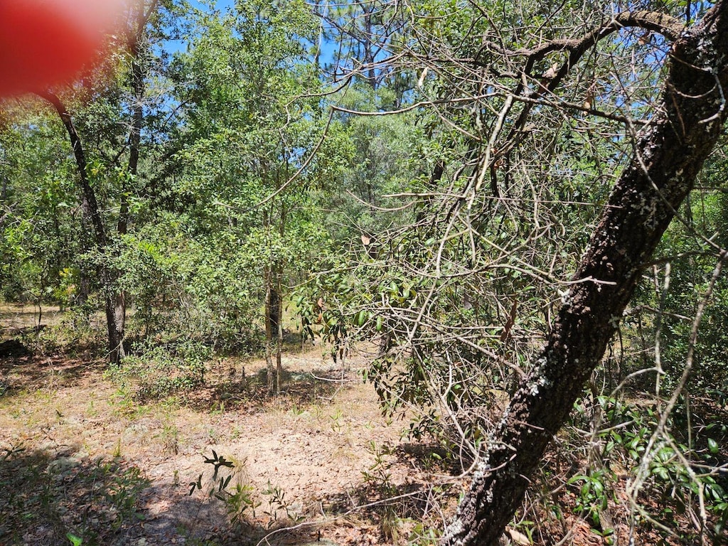 Smallwood Rd, Dunnellon, FL 34431