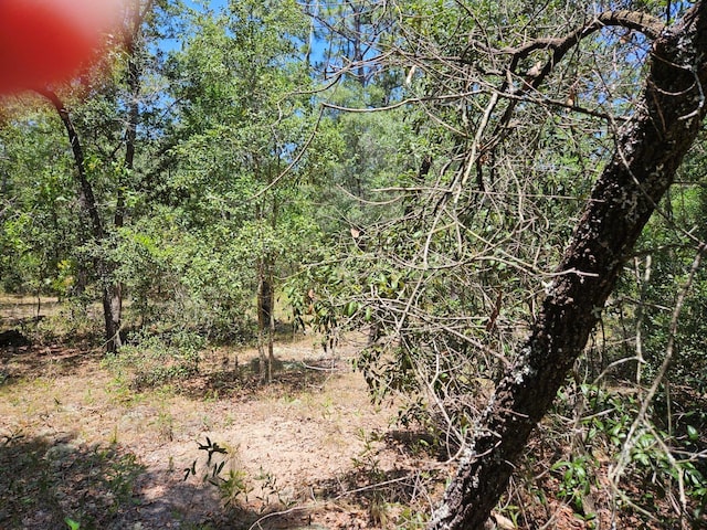 Smallwood Rd, Dunnellon, FL 34431