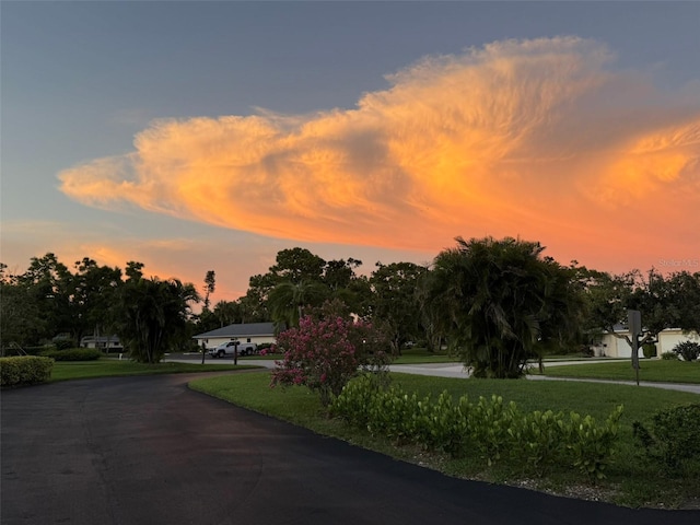 7110 Fairway Bend Ln Unit 181, Sarasota, FL 34243 - photo 34