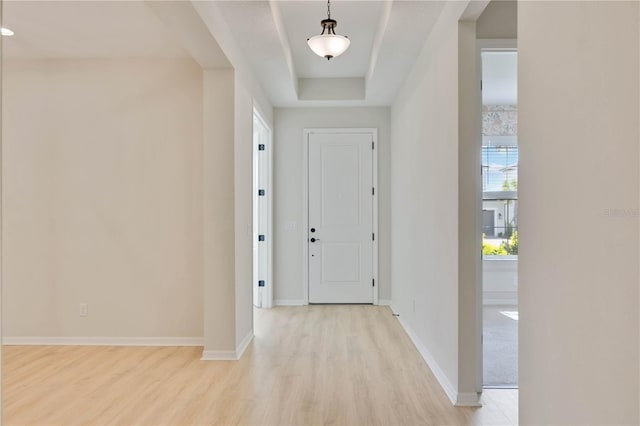 918 Fernleaf Run, Bradenton, FL 34212 - entrance foyer featuring light wood-type flooring and a tray ceiling