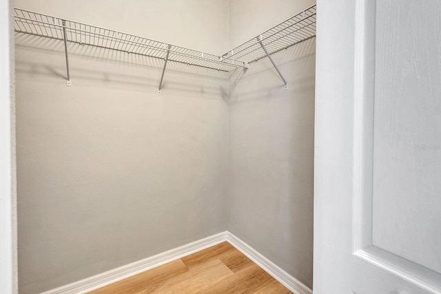 5005 Torrey Pines Run, Bradenton, FL 34211 - walk in closet with light wood finished floors