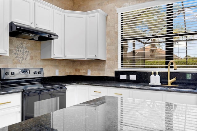 19023 Mangieri St, Venice, FL 34293 - kitchen featuring electric range, under cabinet range hood, plenty of natural light, and white cabinetry