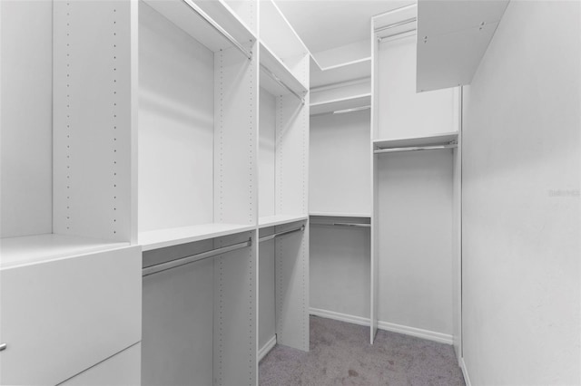 19023 Mangieri St, Venice, FL 34293 - spacious closet featuring light colored carpet