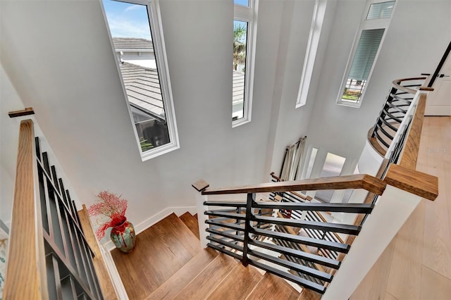 6317 Turtle Grass Dr, Bradenton, FL 34210 - stairway with wood finished floors and a high ceiling
