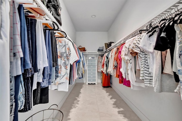 6317 Turtle Grass Dr, Bradenton, FL 34210 - view of spacious closet