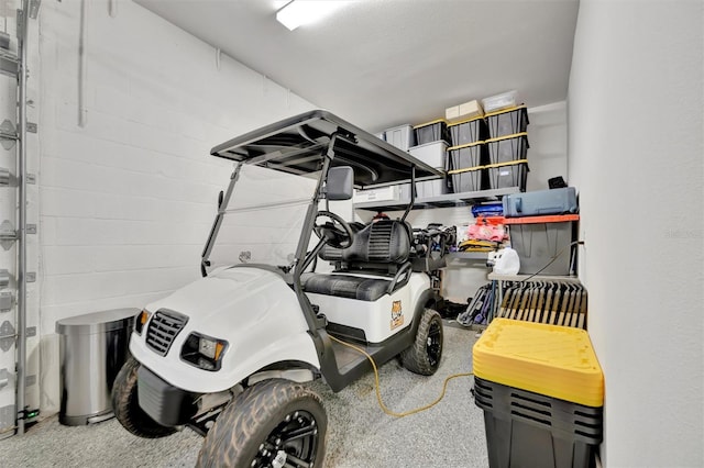 6317 Turtle Grass Dr, Bradenton, FL 34210 - view of garage