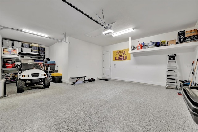 6317 Turtle Grass Dr, Bradenton, FL 34210 - garage with a garage door opener