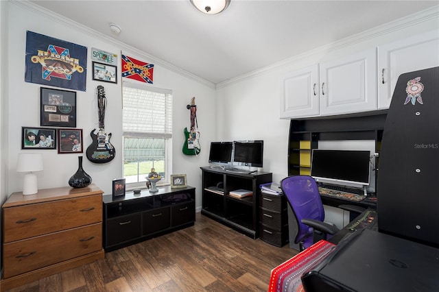 6710 36th Ave E Unit 114, Palmetto, FL 34221 - office space with dark wood-type flooring and crown molding