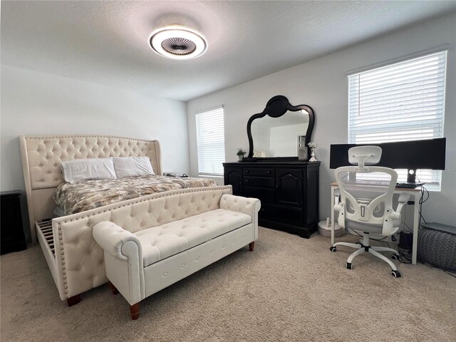 6358 Fairmont Ln, Palmetto, FL 34221 - photo 21