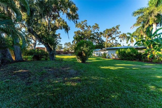 5311 36th Ave E, Palmetto, FL 34221 - view of green lawn